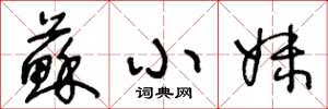王冬龄苏小妹草书怎么写