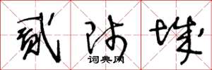 王冬龄贰师城草书怎么写