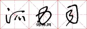 王冬龄派力司草书怎么写