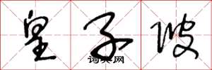 王冬龄皇子陂草书怎么写