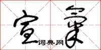 王冬龄宣气草书怎么写