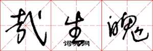 王冬龄哉生魄草书怎么写