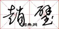 王冬龄赵璧草书怎么写