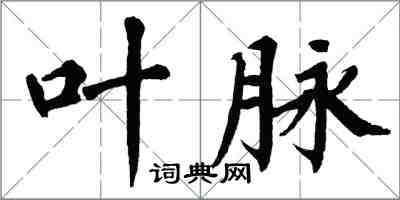翁闿运叶脉楷书怎么写