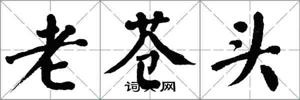 翁闿运老苍头楷书怎么写