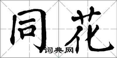翁闿运同花楷书怎么写