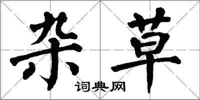 翁闿运杂草楷书怎么写