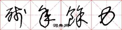 王冬龄残年余力草书怎么写