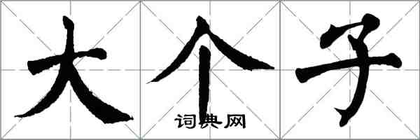 翁闿运大个子楷书怎么写