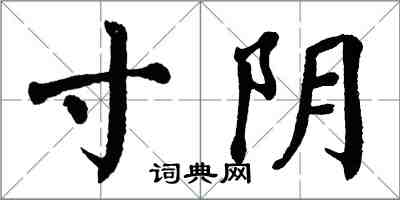 翁闿运寸阴楷书怎么写