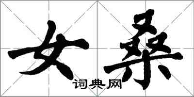 翁闿运女桑楷书怎么写