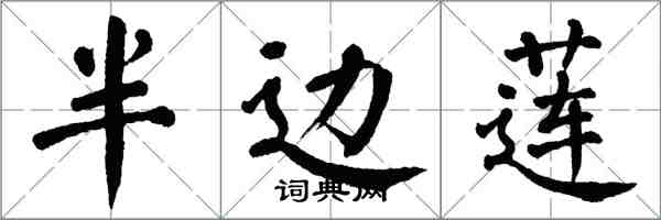 翁闿运半边莲楷书怎么写