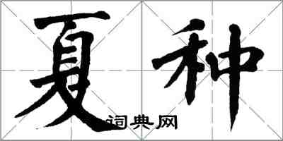 翁闿运夏种楷书怎么写