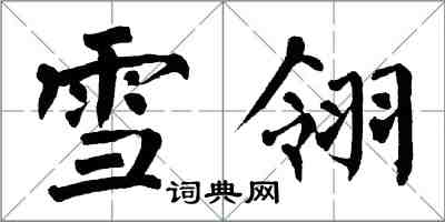 翁闿运雪翎楷书怎么写