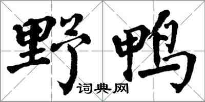 翁闿运野鸭楷书怎么写