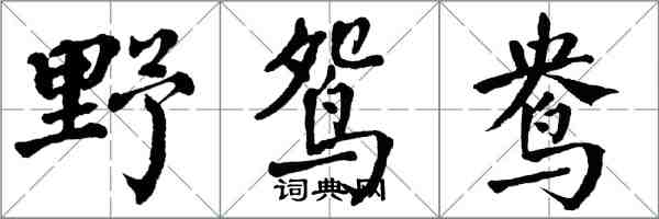 翁闿运野鸳鸯楷书怎么写