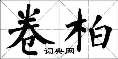 翁闿运卷柏楷书怎么写