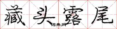 庞中华藏头露尾行书怎么写