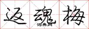 庞中华返魂梅行书怎么写
