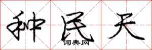 庞中华种民天行书怎么写