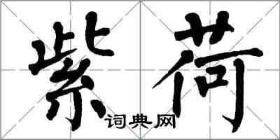 翁闿运紫荷楷书怎么写