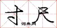 庞中华寸尺行书怎么写