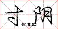 庞中华寸阴行书怎么写