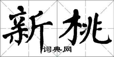 翁闿运新桃楷书怎么写