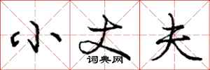 庞中华小丈夫行书怎么写