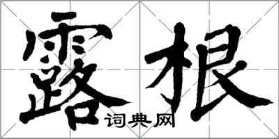 翁闿运露根楷书怎么写