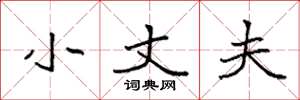 袁强小丈夫楷书怎么写