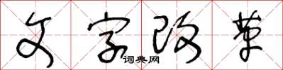 王冬龄文字改革草书怎么写