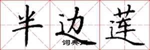 丁谦半边莲楷书怎么写