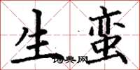 丁谦生蛮楷书怎么写