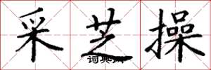 丁谦采芝操楷书怎么写