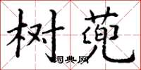 丁谦树蔸楷书怎么写