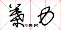 王冬龄叶力草书怎么写