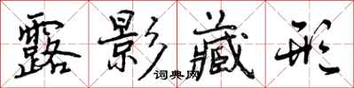 曾庆福露影藏形行书怎么写