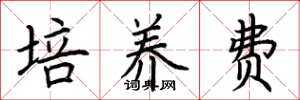 荆霄鹏培养费楷书怎么写