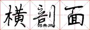 曾庆福横剖面行书怎么写