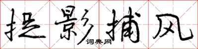 曾庆福捉影捕风行书怎么写