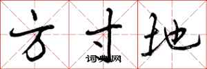 曾庆福方寸地行书怎么写