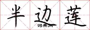 荆霄鹏半边莲楷书怎么写