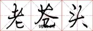 曾庆福老苍头行书怎么写