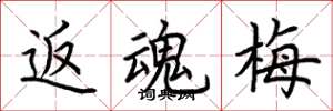 荆霄鹏返魂梅楷书怎么写
