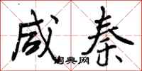 曾庆福咸秦行书怎么写