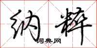 荆霄鹏纳粹行书怎么写