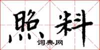 周炳元照料楷书怎么写