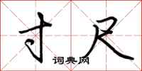 荆霄鹏寸尺行书怎么写