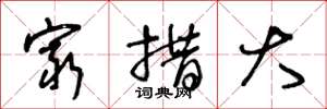 王冬龄穷措大草书怎么写
